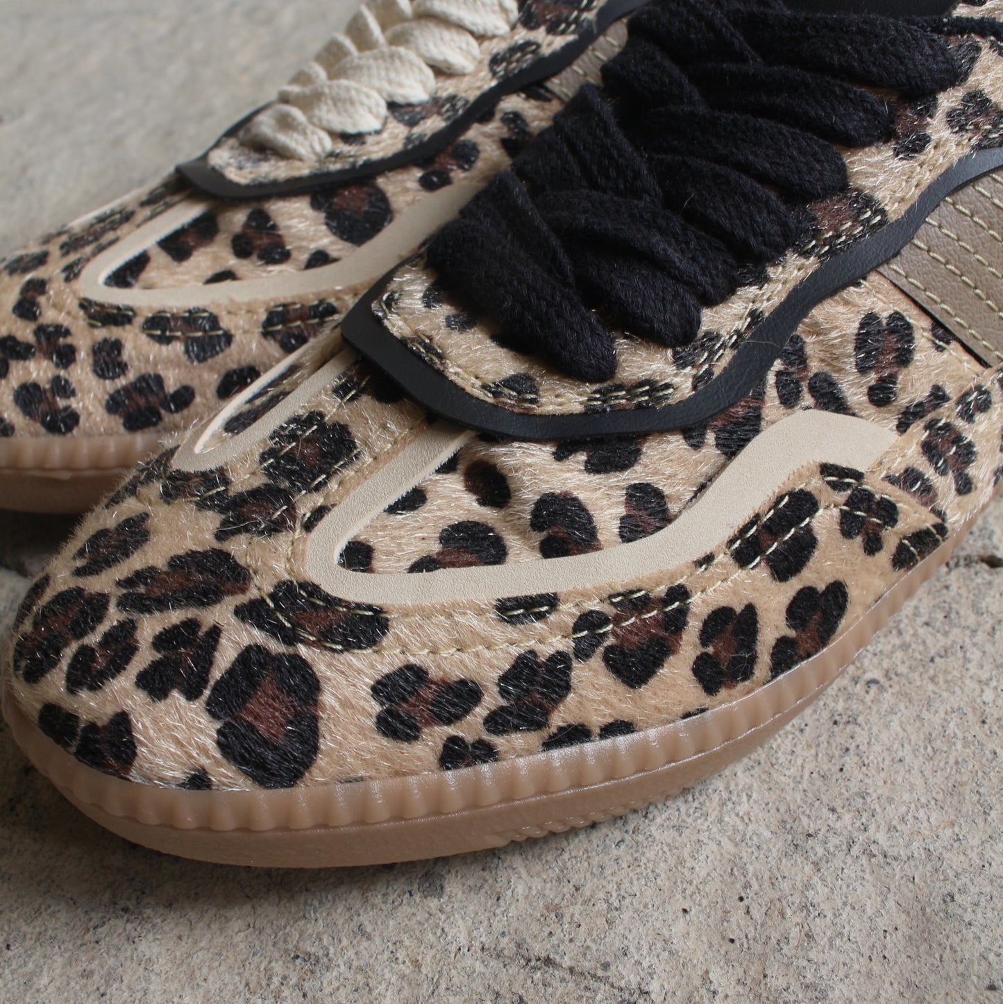 Ocean Cheetah